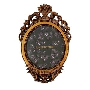 NWT Taylor Swift Speak Now Taylor's Version Long Live Picture Frame